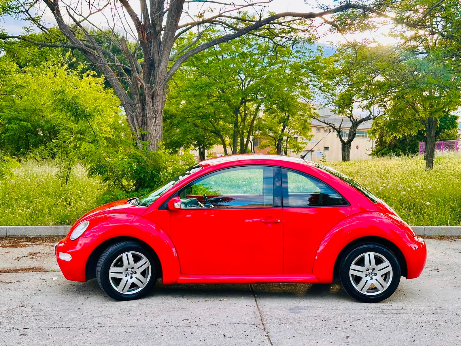 VOLKSWAGEN New Beetle 1.6 gasolina 102cv
